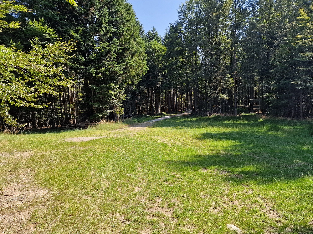 Bajgot - Ruška koča, 15. 8. 2025