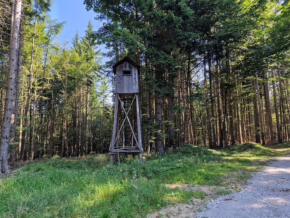 Bajgot - Ruška koča, 15. 8. 2025
