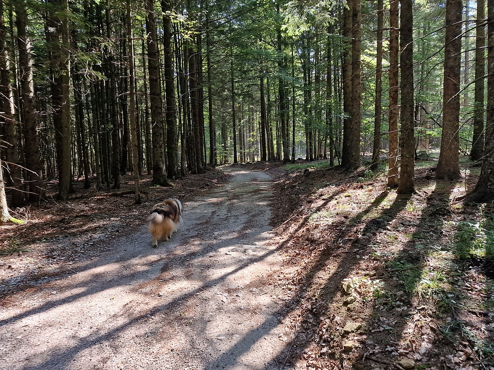 Bajgot - Ruška koča, 15. 8. 2025