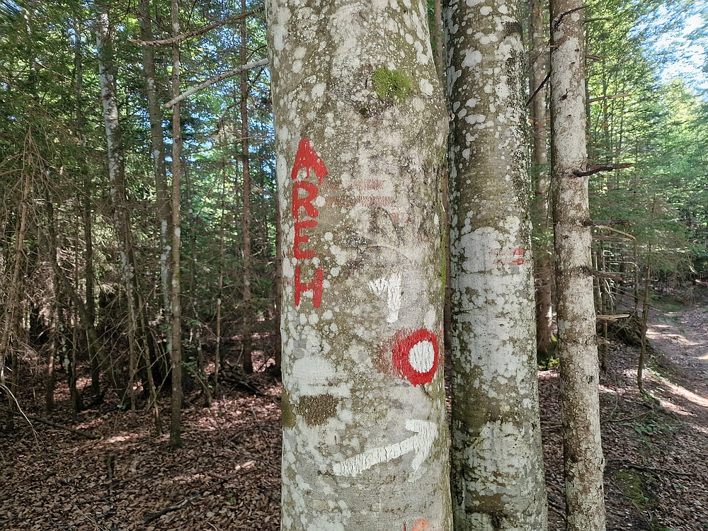 Bajgot - Ruška koča, 15. 8. 2025