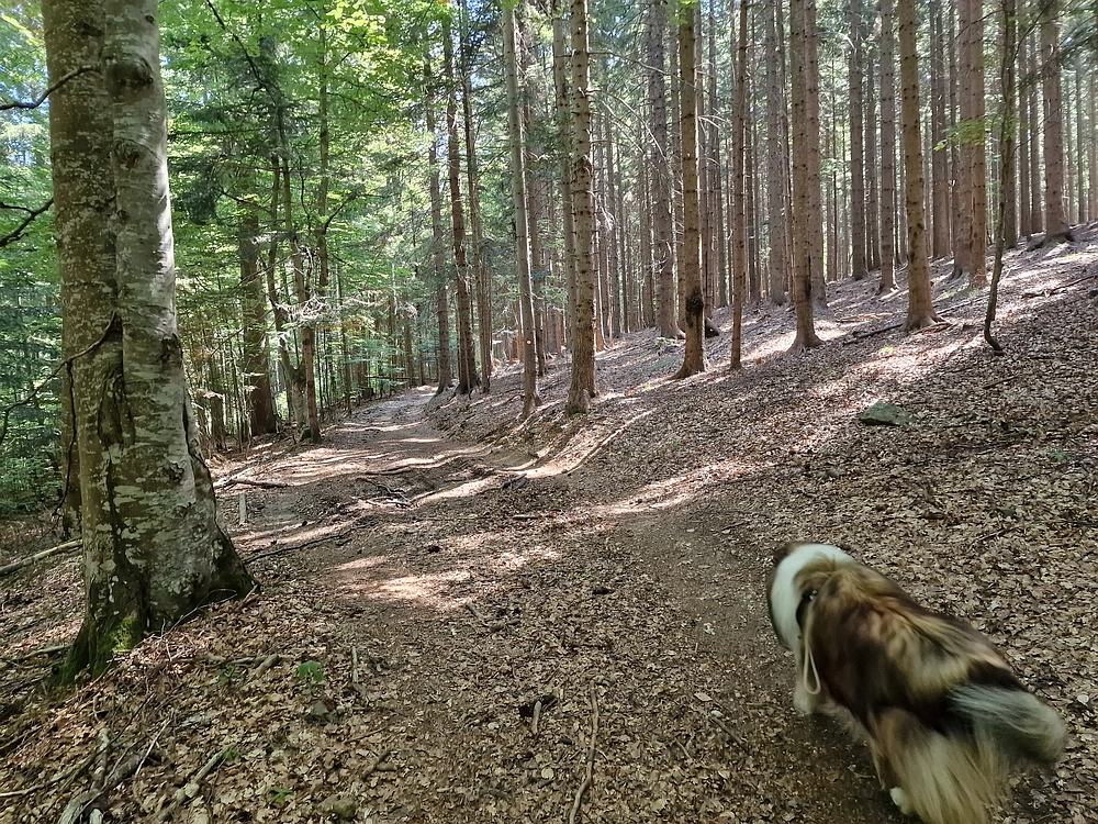 Bajgot - Ruška koča, 15. 8. 2025