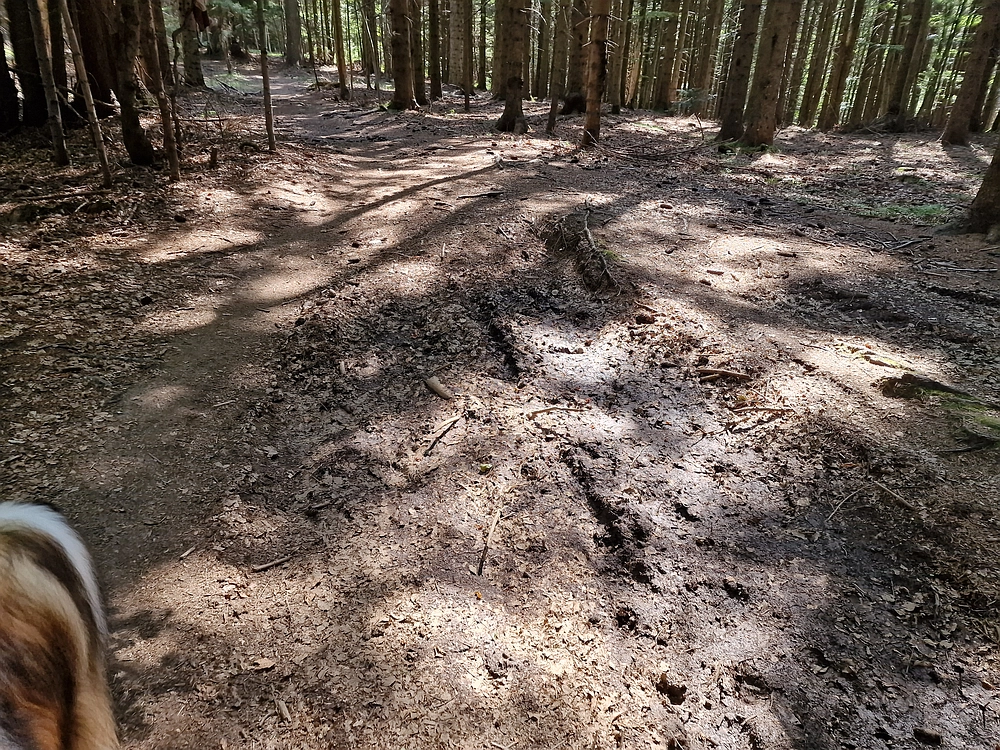 Bajgot - Ruška koča, 15. 8. 2025