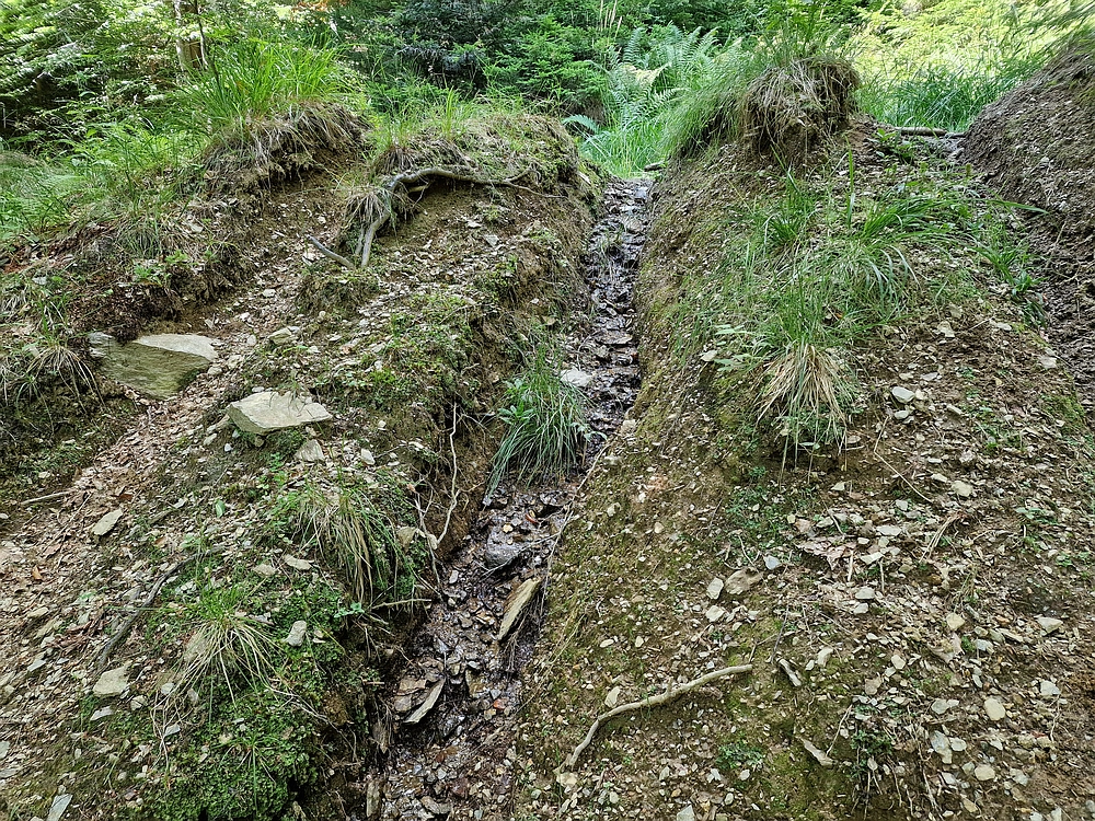 Bajgot - Ruška koča, 15. 8. 2025