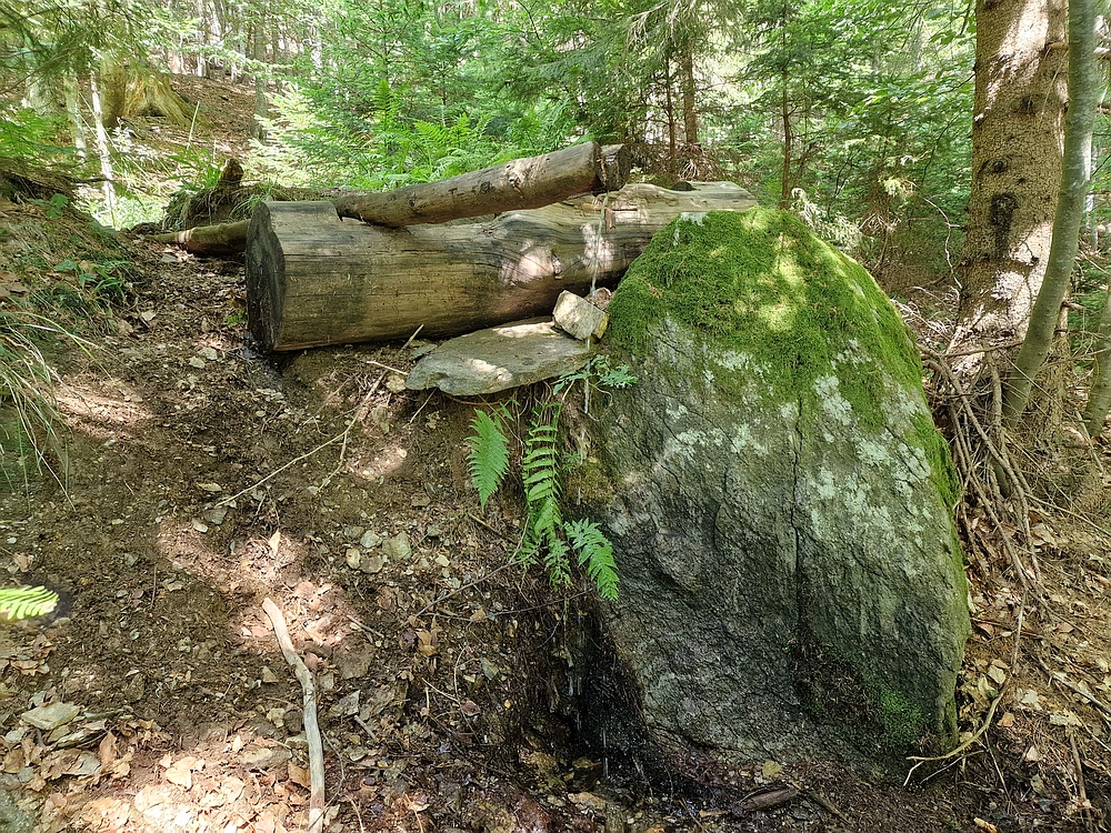 Bajgot - Ruška koča, 15. 8. 2025