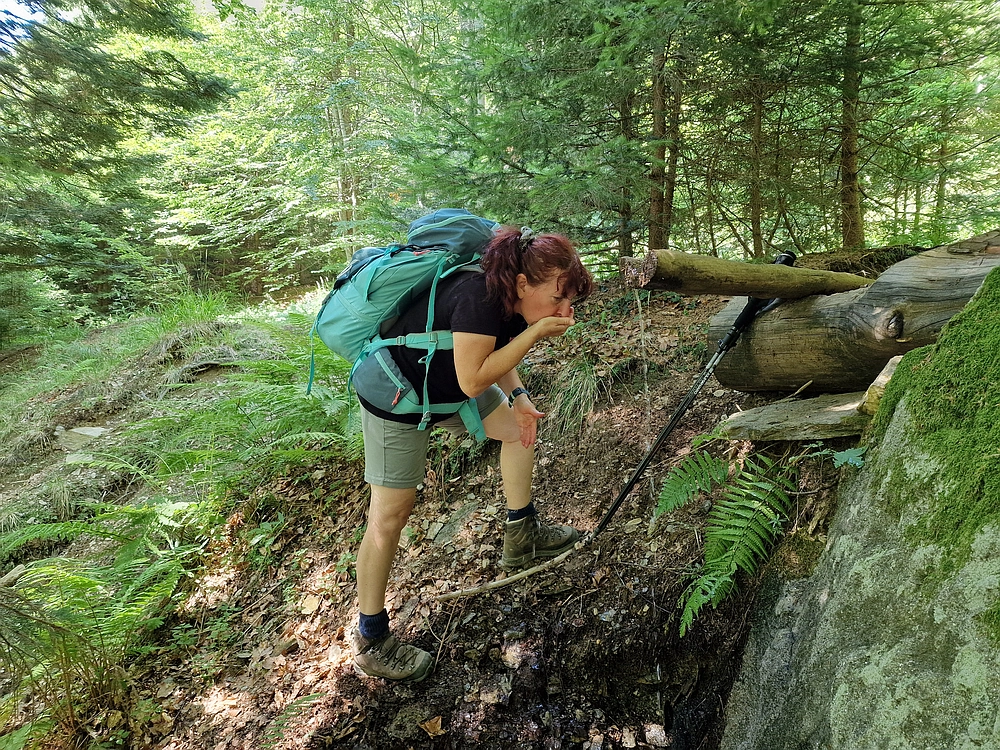 Bajgot - Ruška koča, 15. 8. 2025