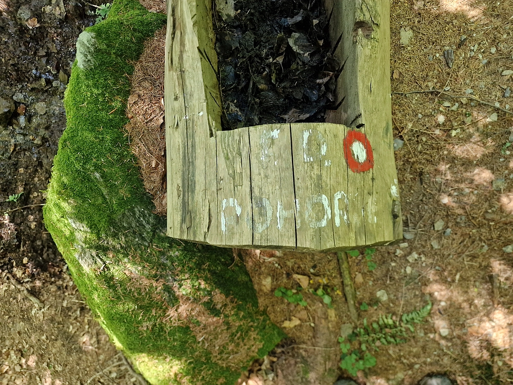 Bajgot - Ruška koča, 15. 8. 2025