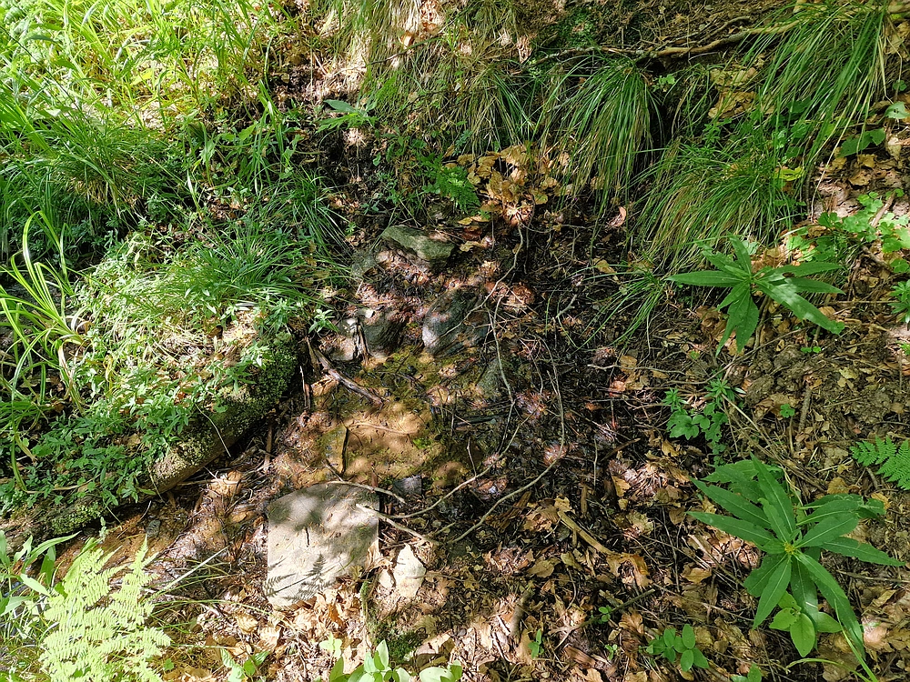 Bajgot - Ruška koča, 15. 8. 2025