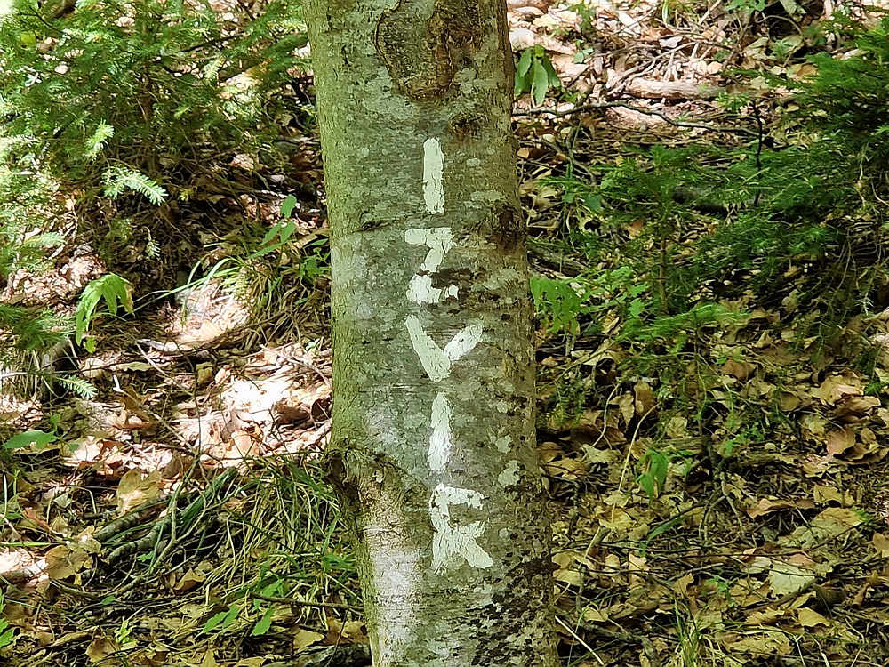 Bajgot - Ruška koča, 15. 8. 2025