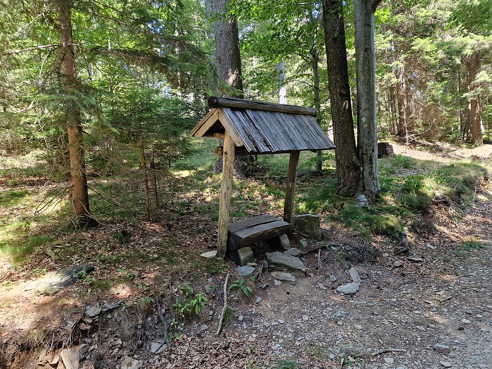 Bajgot - Ruška koča, 15. 8. 2025