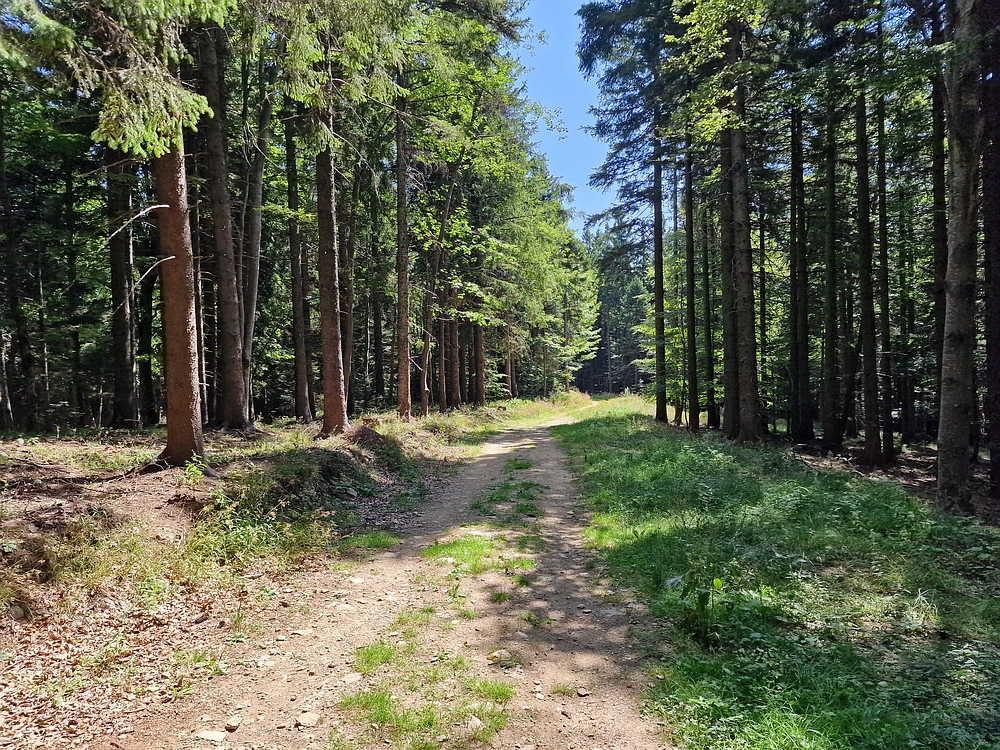 Bajgot - Ruška koča, 15. 8. 2025