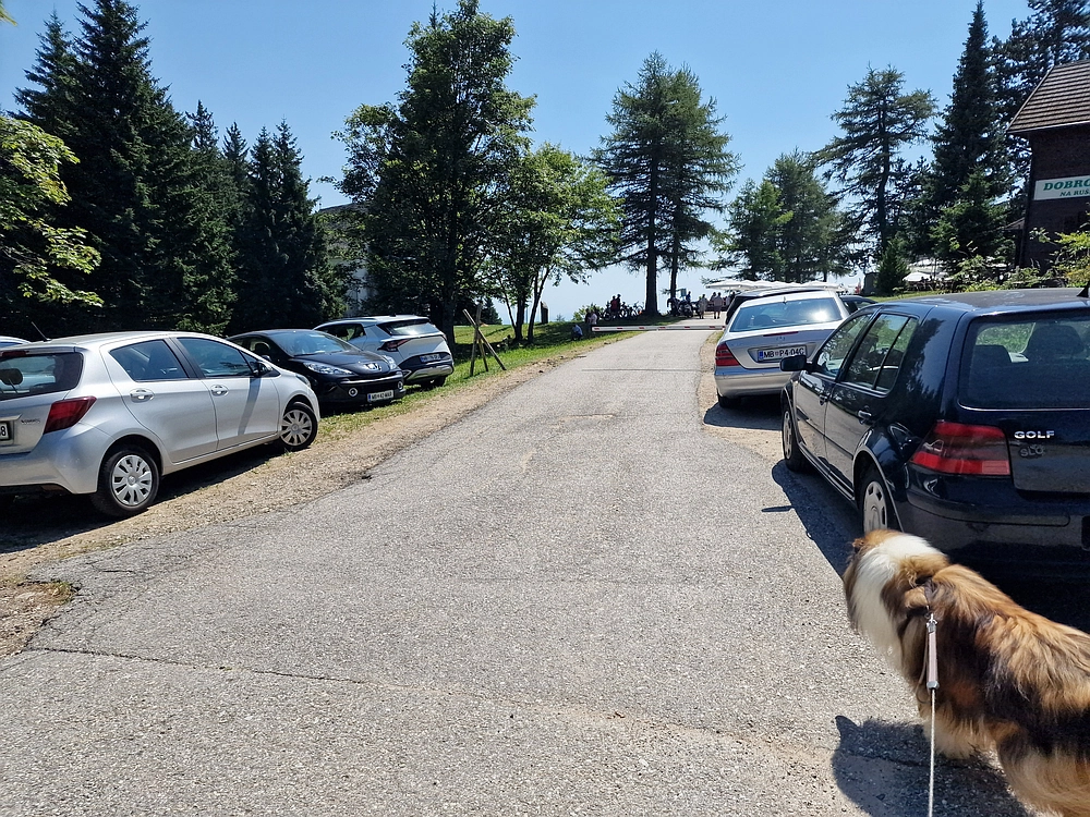 Bajgot - Ruška koča, 15. 8. 2025