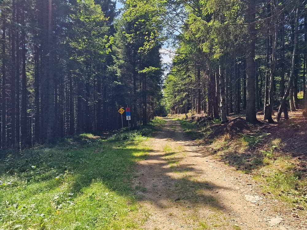 Bajgot - Ruška koča, 15. 8. 2025