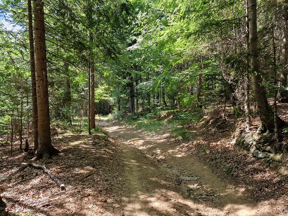 Bajgot - Ruška koča, 15. 8. 2025