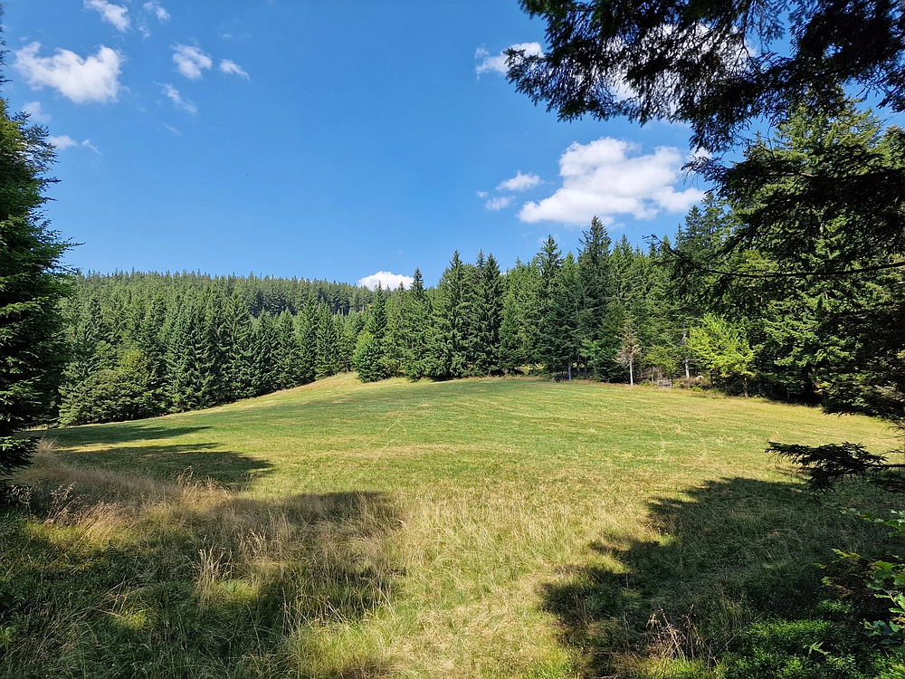 Bajgot - Ruška koča, 15. 8. 2025