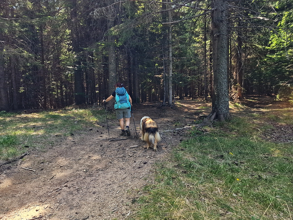 Bajgot - Ruška koča, 15. 8. 2025