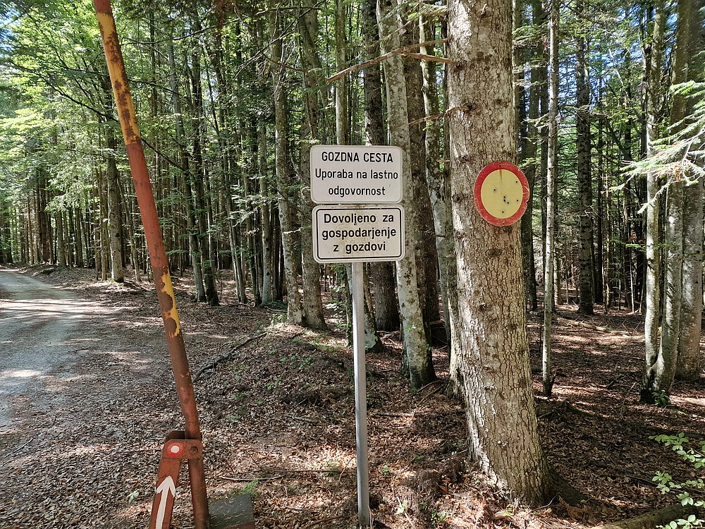 Bajgot - Ruška koča, 15. 8. 2025