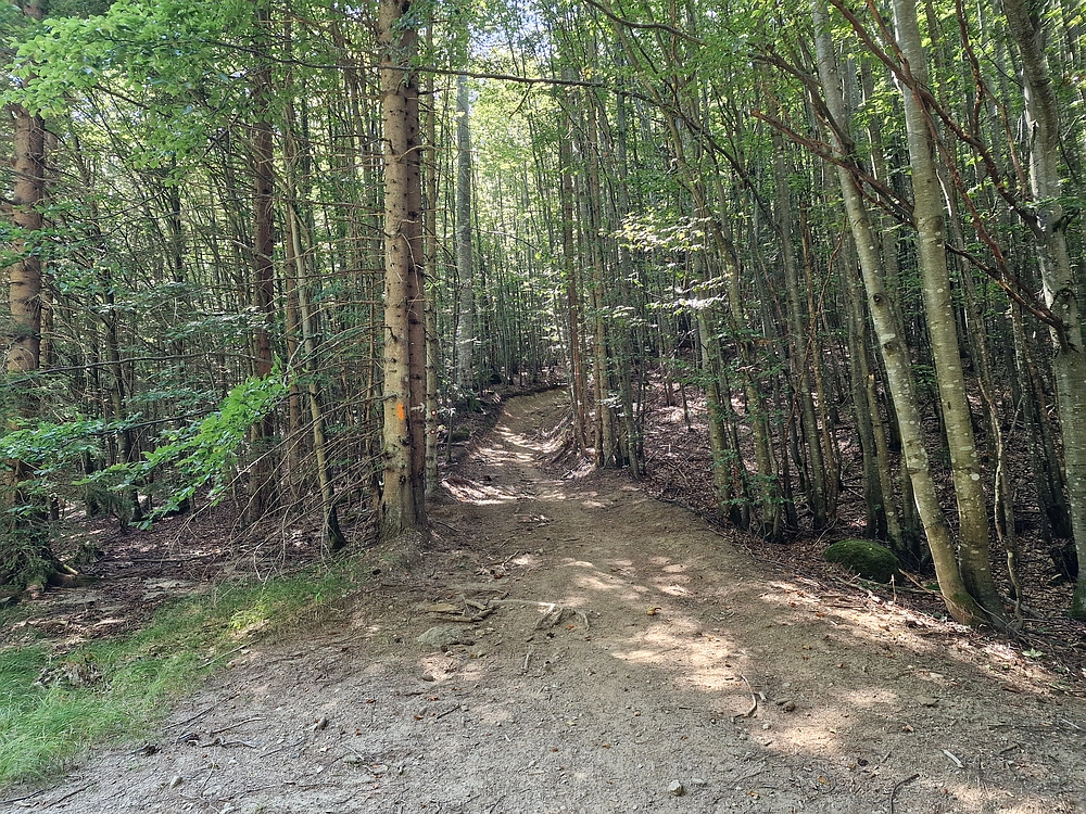 Bajgot - Ruška koča, 15. 8. 2025