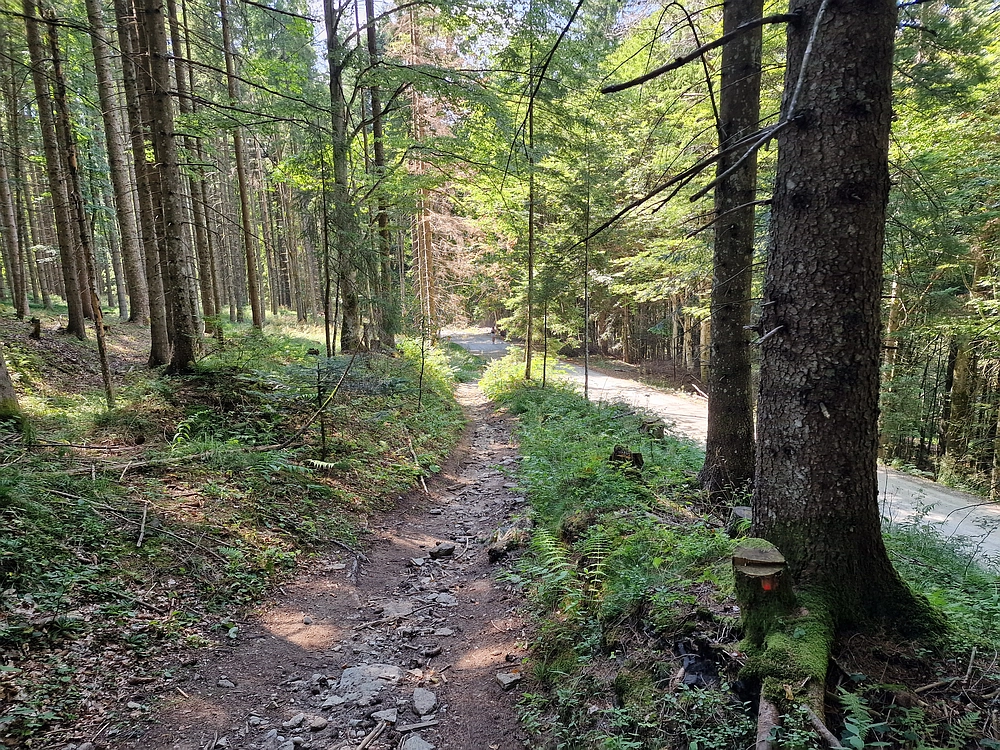 Bajgot - Ruška koča, 15. 8. 2025