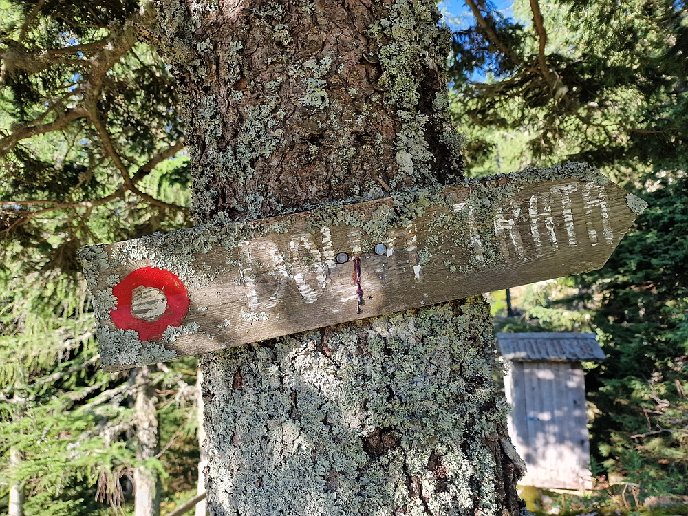 Veliki vrh (Veža), V. Zelenica, 31. 8. 2025