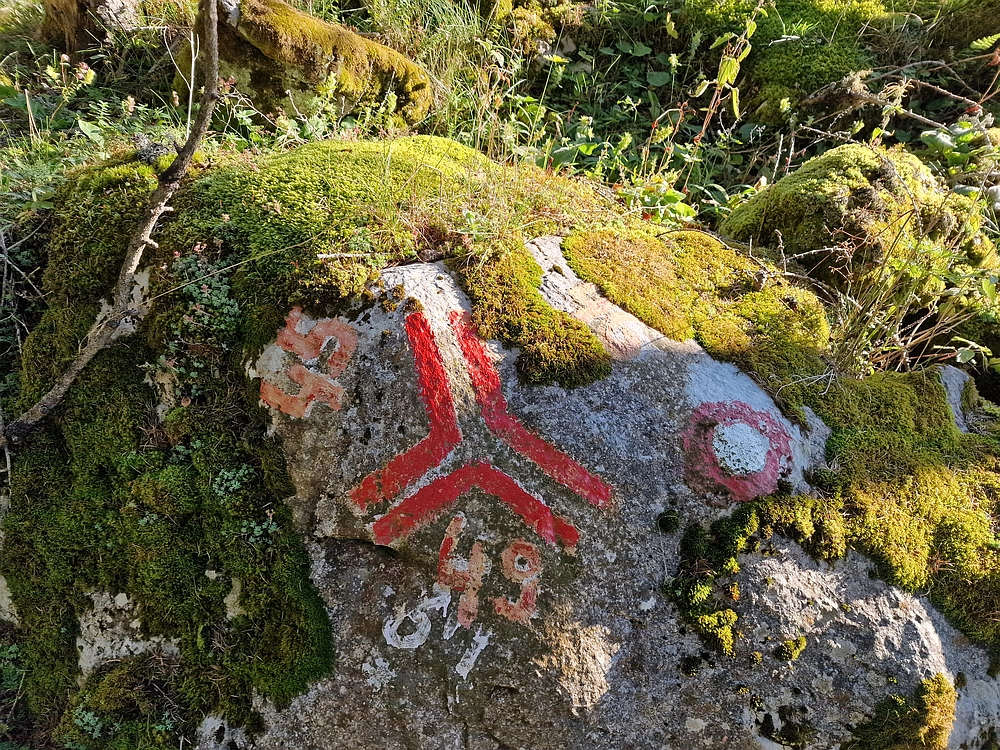 Veliki vrh (Veža), V. Zelenica, 31. 8. 2025