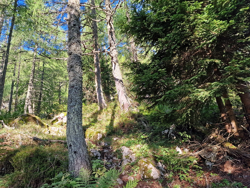 Veliki vrh (Veža), V. Zelenica, 31. 8. 2025