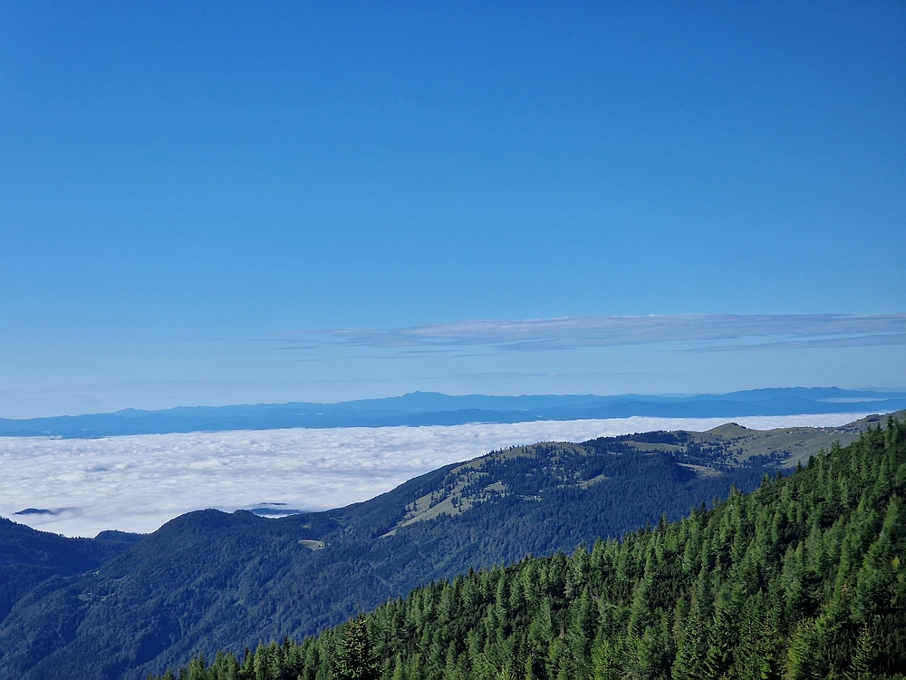 Veliki vrh (Veža), V. Zelenica, 31. 8. 2025