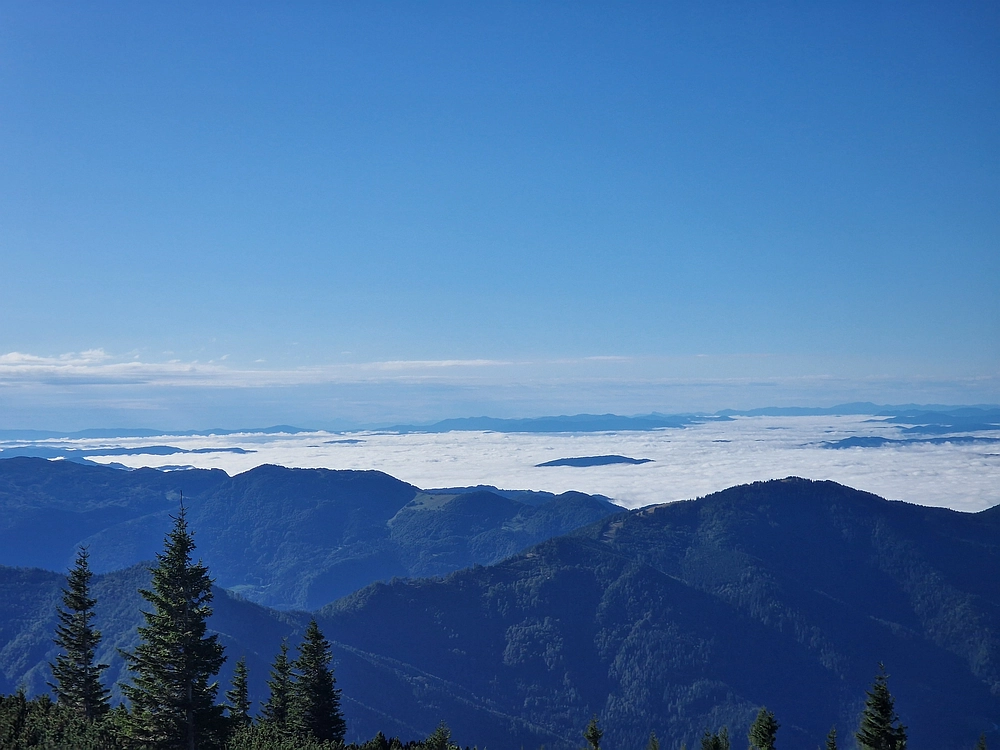 Veliki vrh (Veža), V. Zelenica, 31. 8. 2025