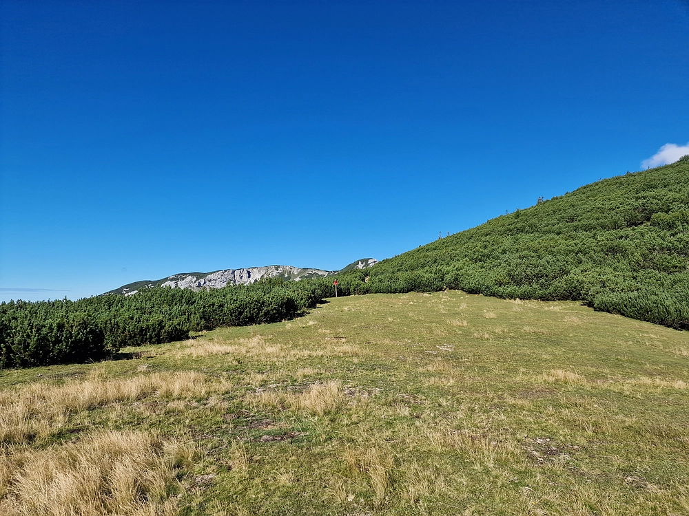 Veliki vrh (Veža), V. Zelenica, 31. 8. 2025