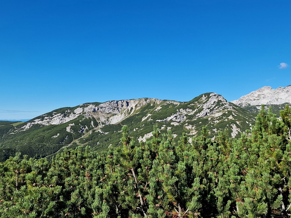 Veliki vrh (Veža), V. Zelenica, 31. 8. 2025