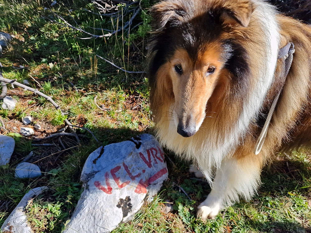 Veliki vrh (Veža), V. Zelenica, 31. 8. 2025