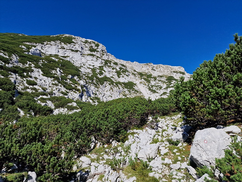 Veliki vrh (Veža), V. Zelenica, 31. 8. 2025