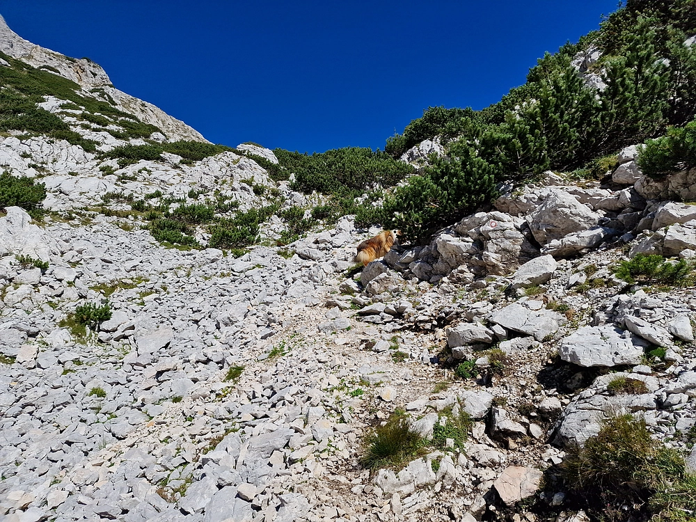 Veliki vrh (Veža), V. Zelenica, 31. 8. 2025