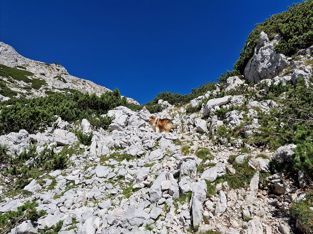 Veliki vrh (Veža), V. Zelenica, 31. 8. 2025
