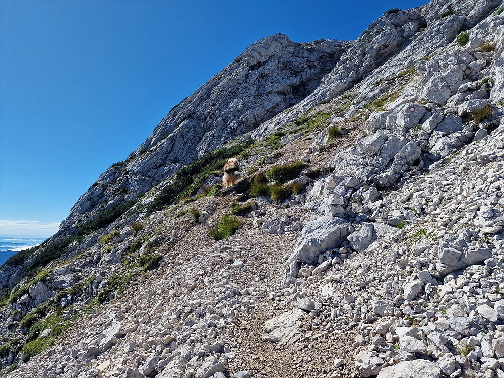 Veliki vrh (Veža), V. Zelenica, 31. 8. 2025