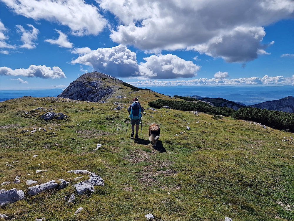 Veliki vrh (Veža), V. Zelenica, 31. 8. 2025
