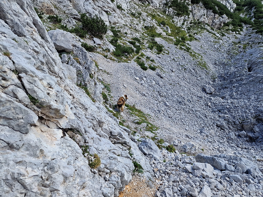 Veliki vrh (Veža), V. Zelenica, 31. 8. 2025