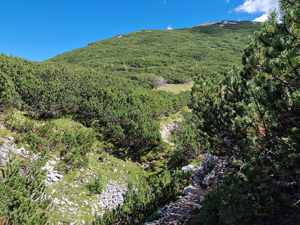 Veliki vrh (Veža), V. Zelenica, 31. 8. 2025