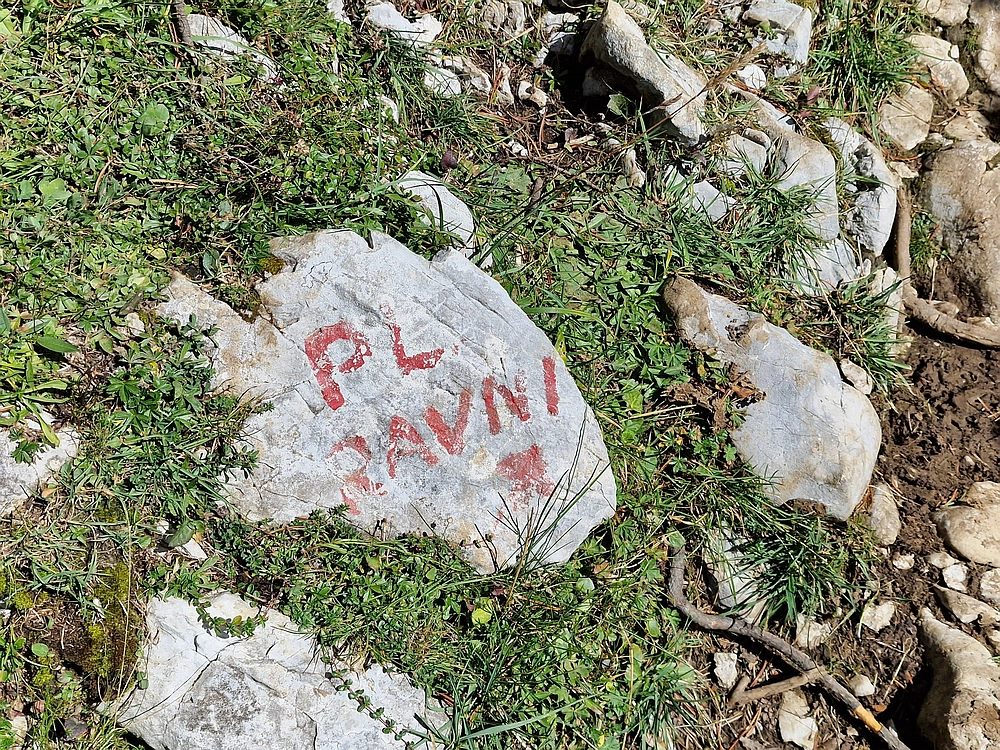 Veliki vrh (Veža), V. Zelenica, 31. 8. 2025