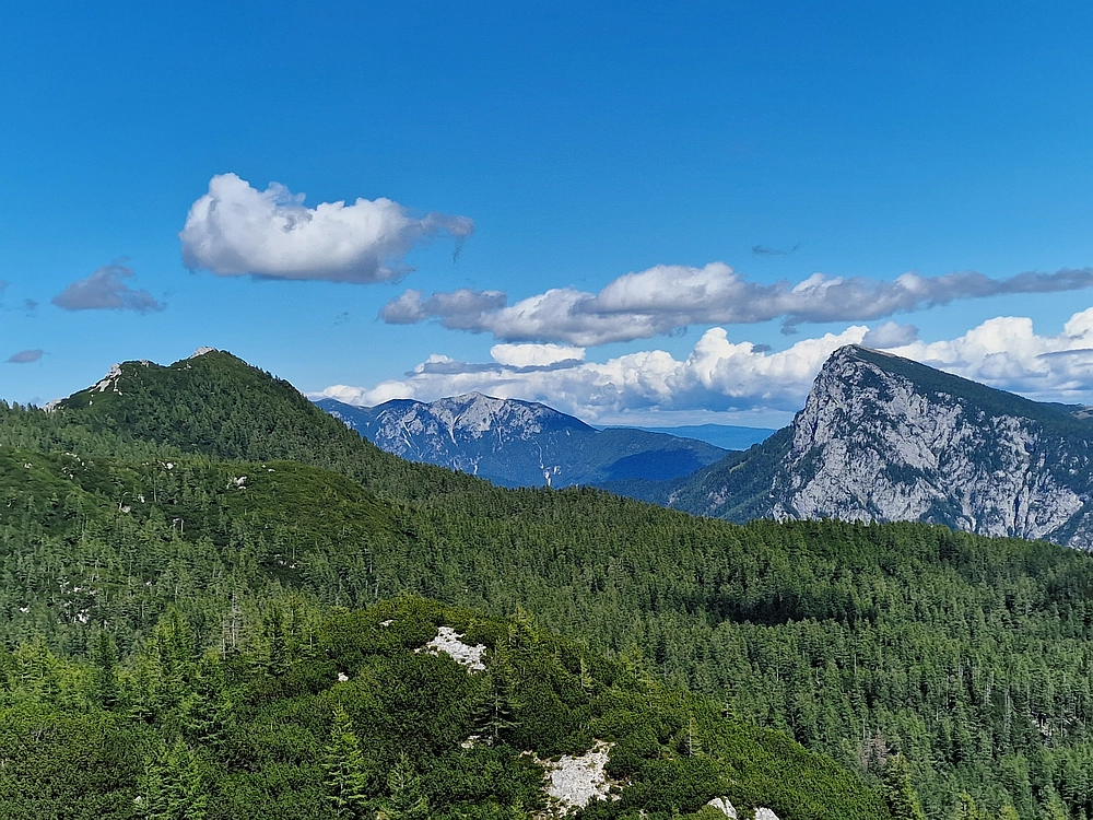 Veliki vrh (Veža), V. Zelenica, 31. 8. 2025