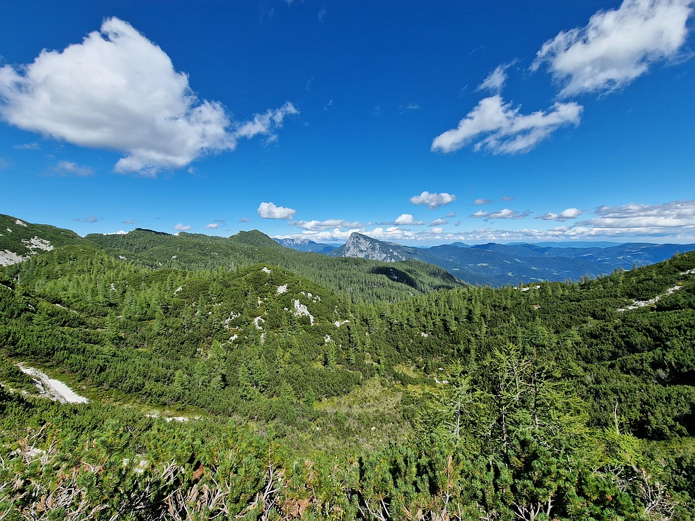 Veliki vrh (Veža), V. Zelenica, 31. 8. 2025