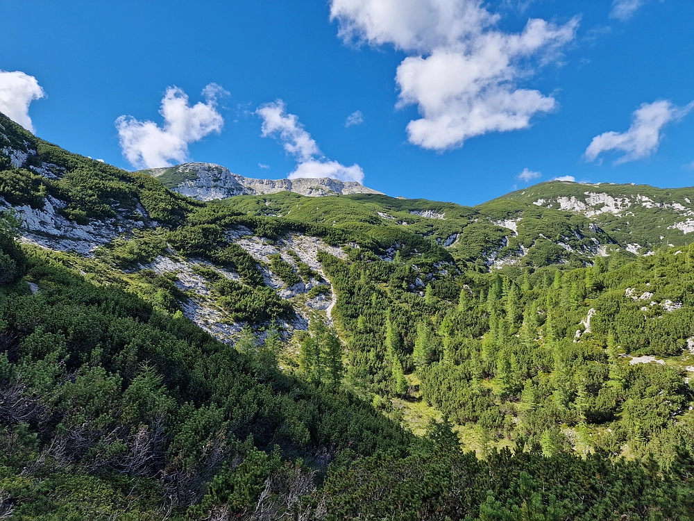 Veliki vrh (Veža), V. Zelenica, 31. 8. 2025