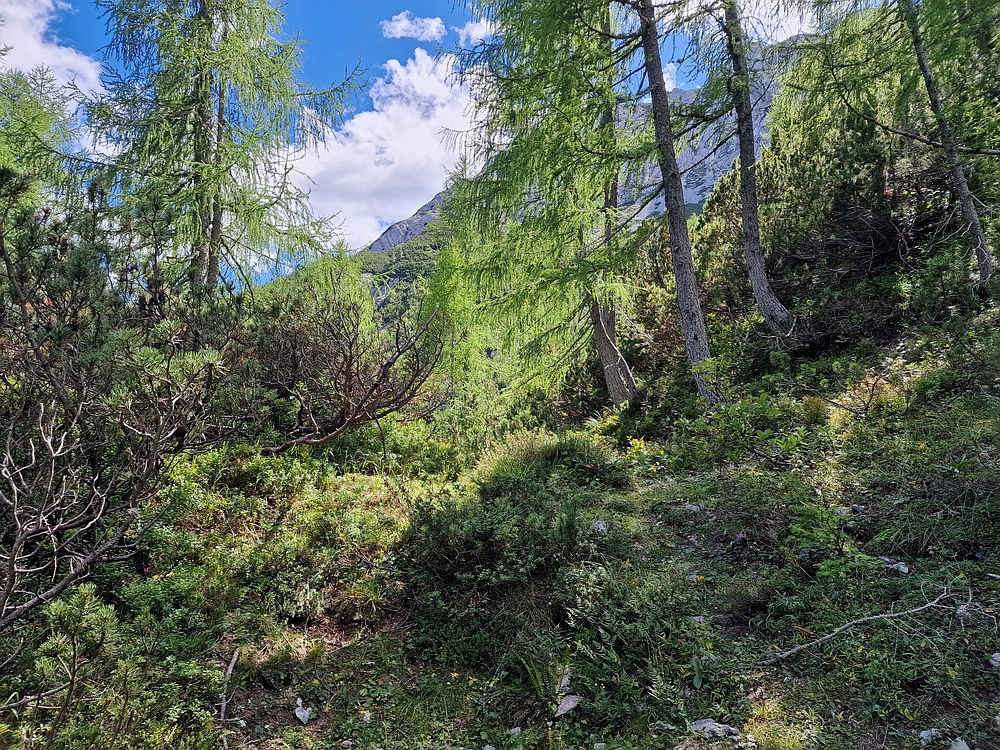 Veliki vrh (Veža), V. Zelenica, 31. 8. 2025