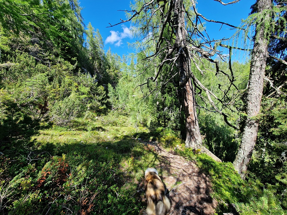 Veliki vrh (Veža), V. Zelenica, 31. 8. 2025