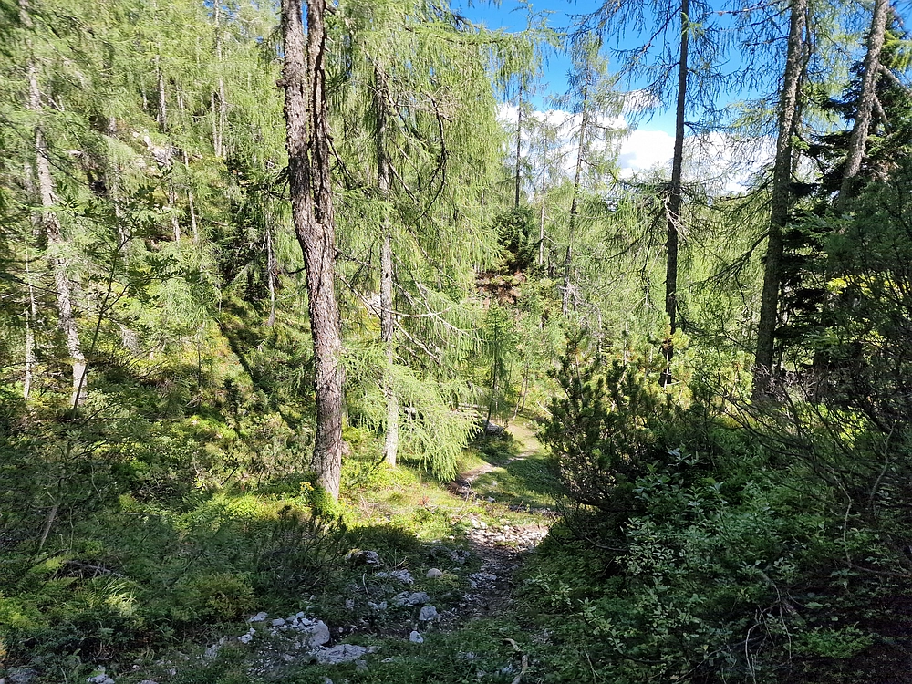 Veliki vrh (Veža), V. Zelenica, 31. 8. 2025