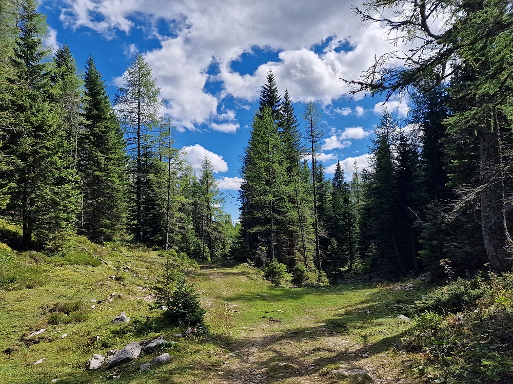 Veliki vrh (Veža), V. Zelenica, 31. 8. 2025