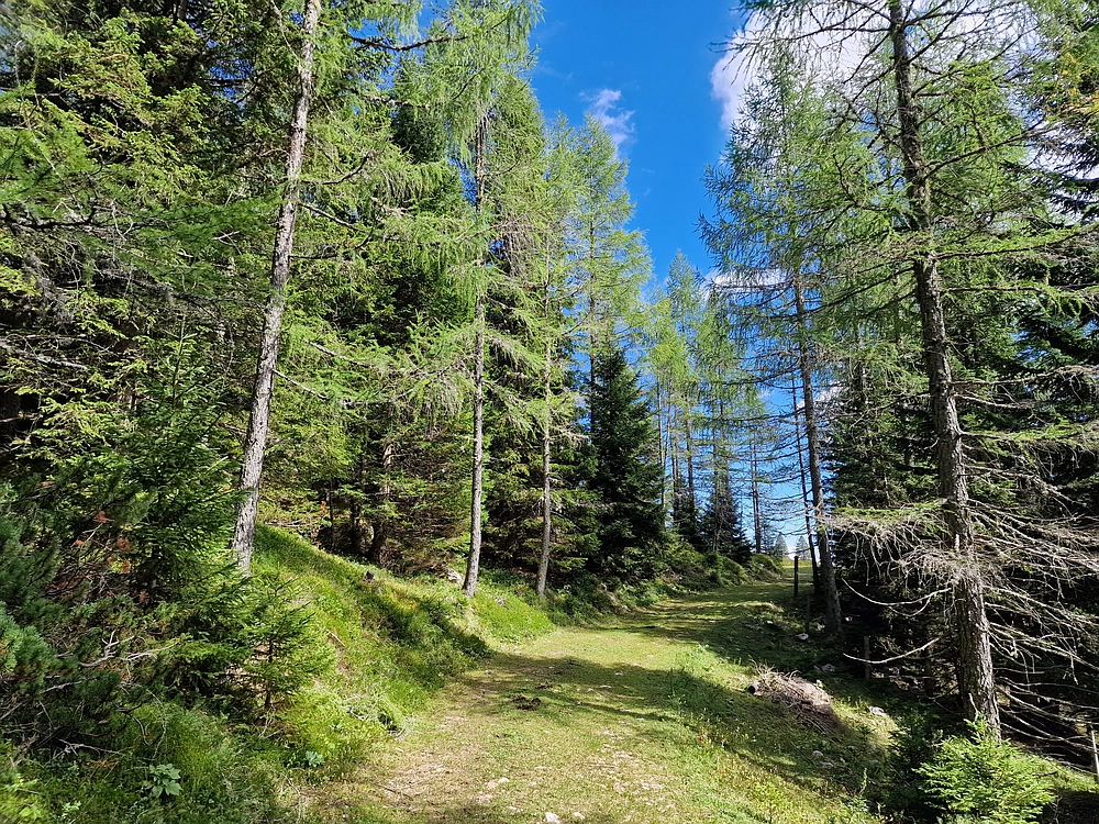 Veliki vrh (Veža), V. Zelenica, 31. 8. 2025