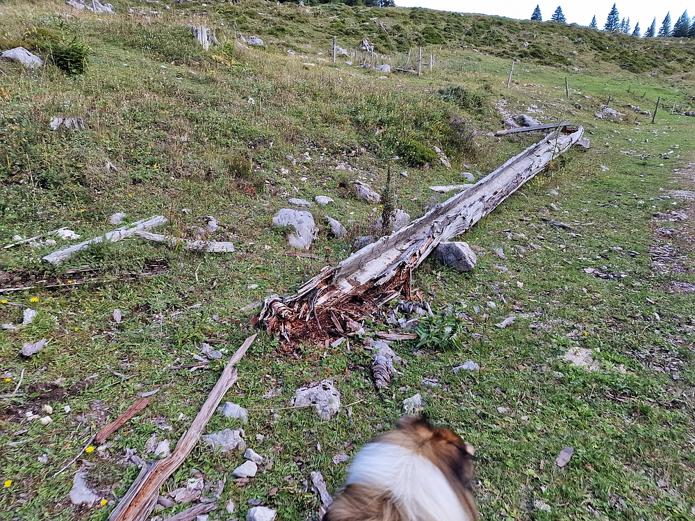 Veliki vrh (Veža), V. Zelenica, 31. 8. 2025