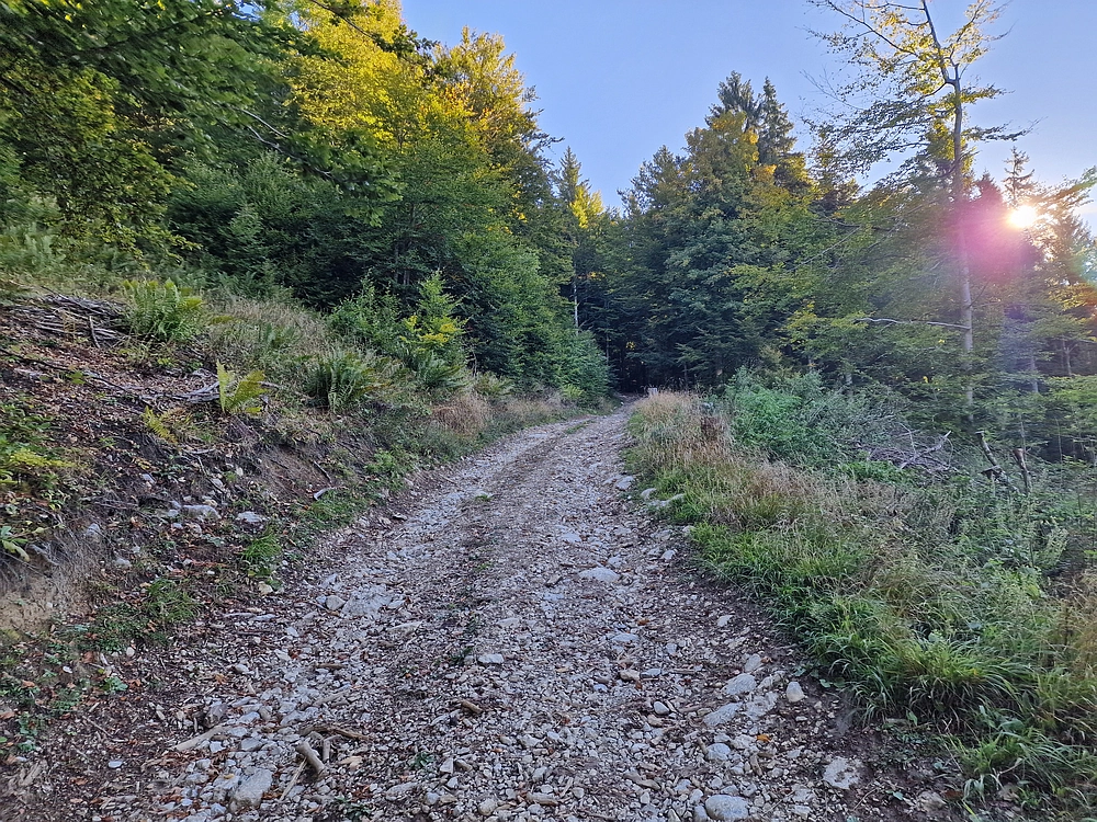 Tolsti vrh, 4. 10. 2025