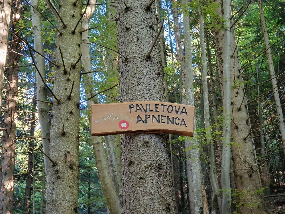 Tolsti vrh, 4. 10. 2025