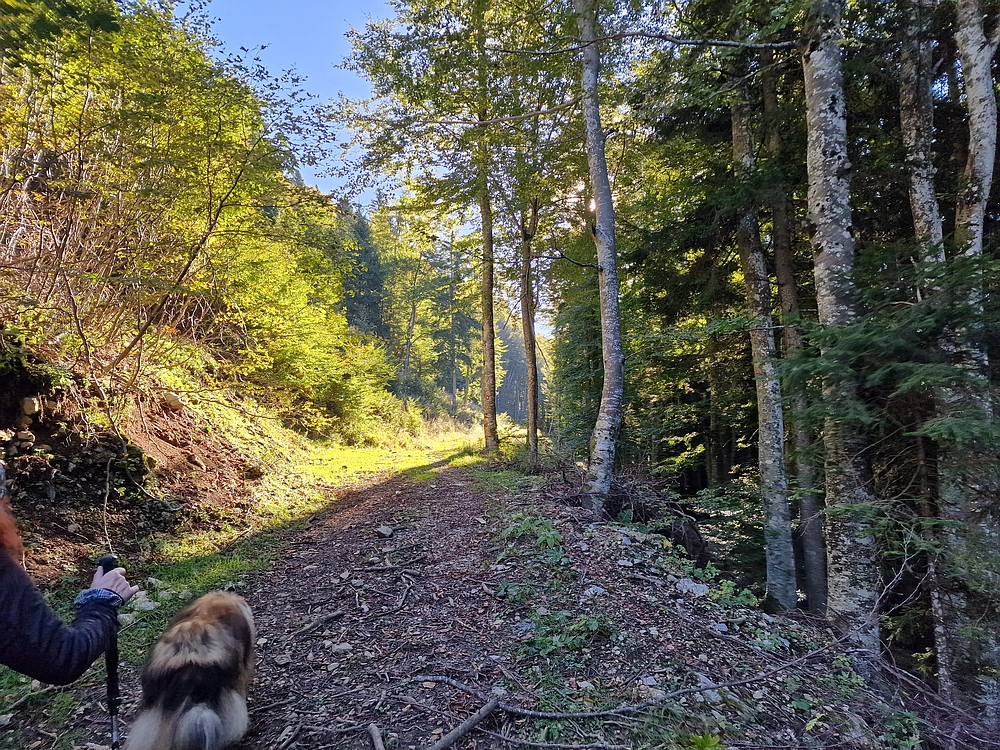 Tolsti vrh, 4. 10. 2025